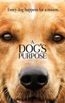 A Dog's Purpose (2017) - Full HD - Phụ đề VietSub
