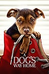 A Dog\'s Way Home (2019) - Full HD - Thuyết minh