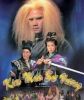 Kim Mao Sư Vương TVB (1994) 20 tập - Legend Of The Golden Lion - Lồng tiếng - anh 1