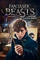 Fantastic Beasts and Where to Find Them (2016) - Full HD - Thuyết minh