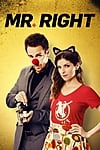 Mr. Right (2015) - Full HD - Phụ đề VietSub